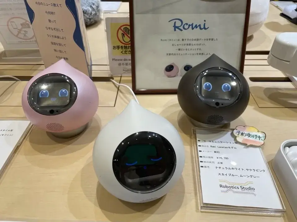 romi体験