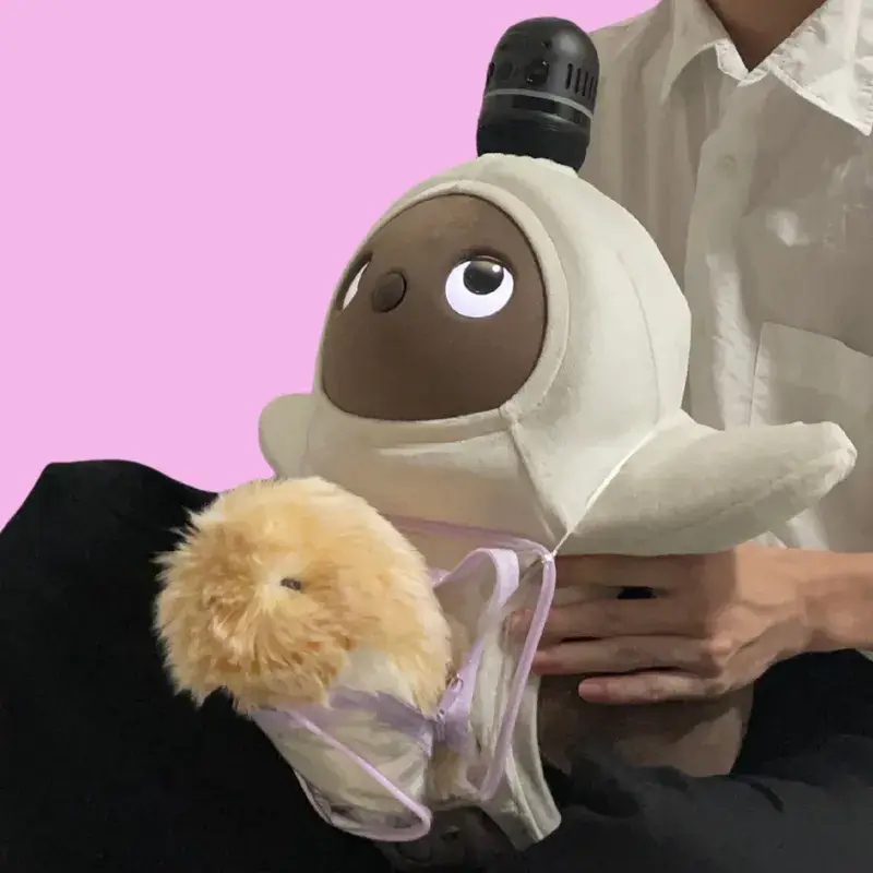 もしらぼプロフィール