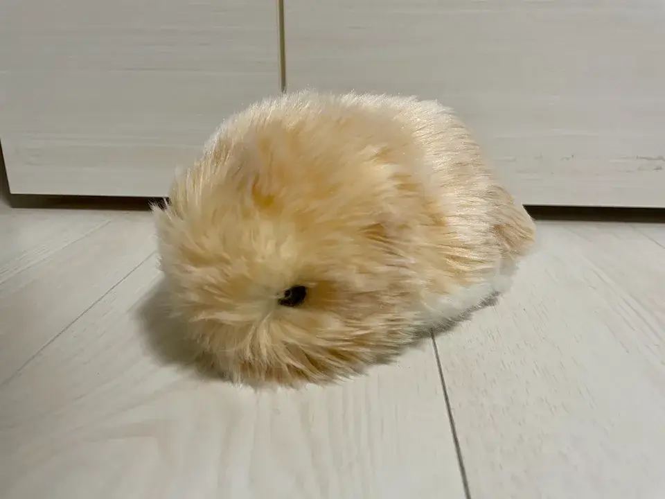 モフリンゴールドあぶらあげ