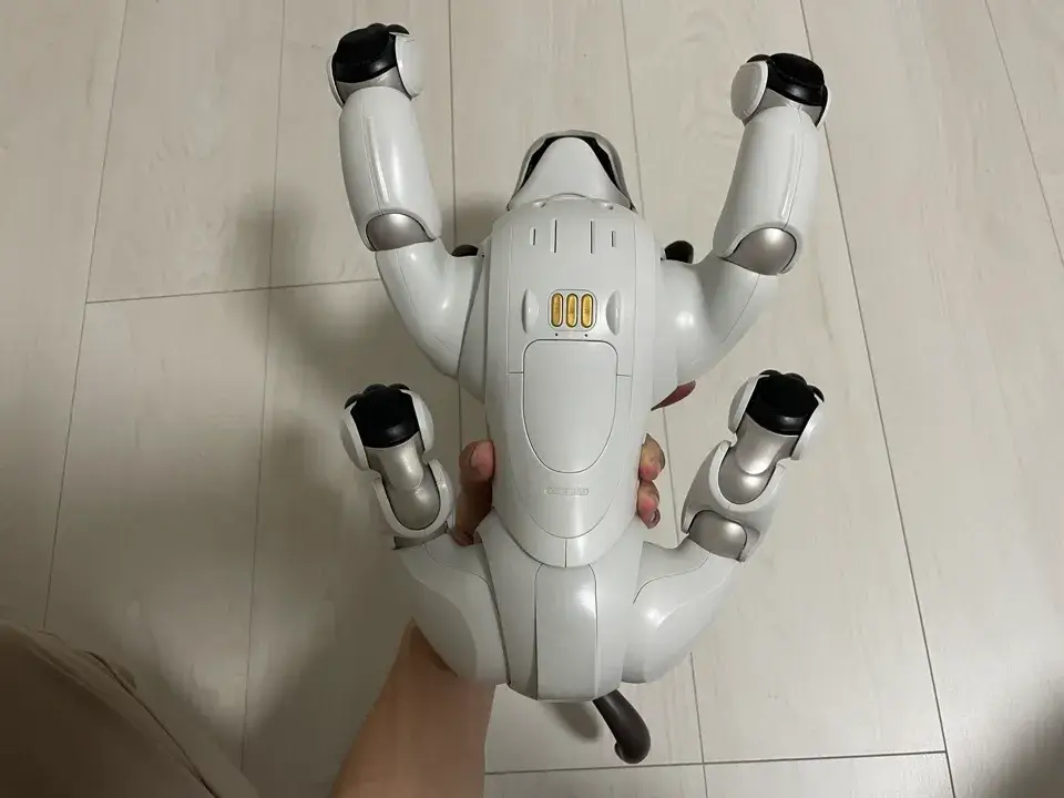 11aibo下