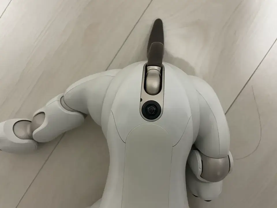 17aiboお尻カメラ