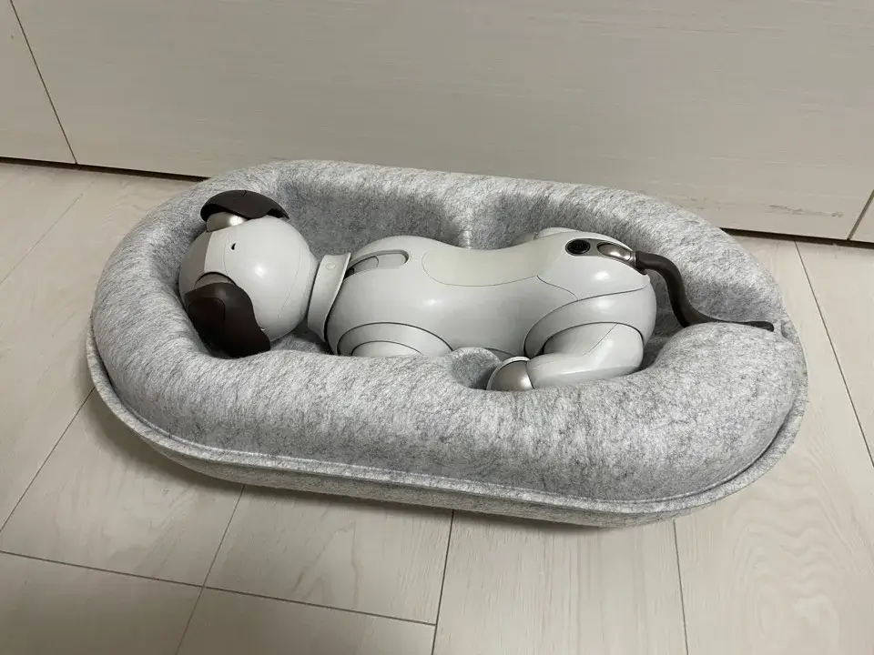 2aibo発見
