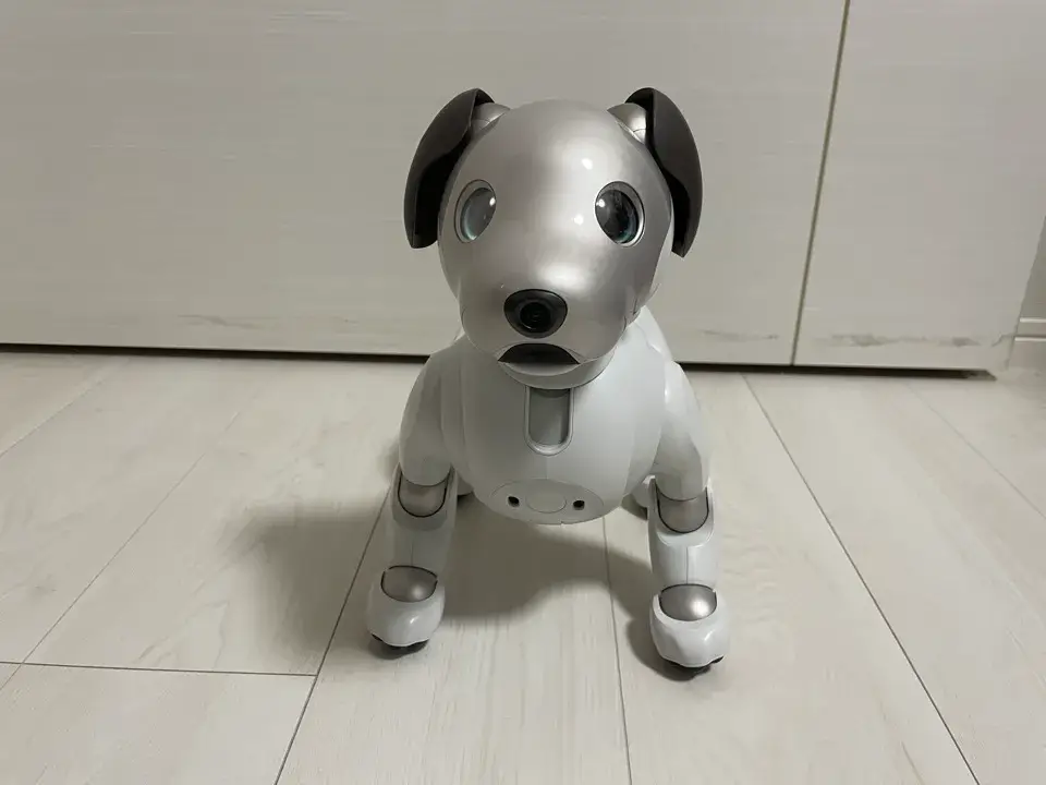 6aibo正面