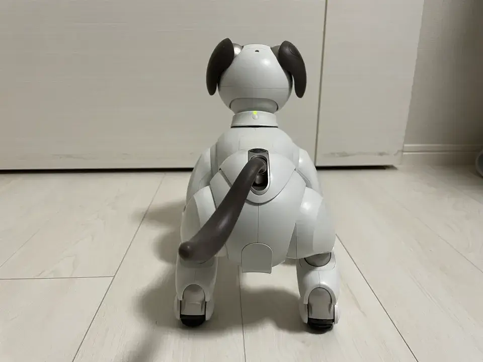 9aibo後ろ
