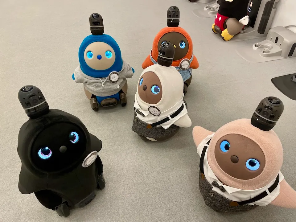 ラボットミュージアムのとーふ