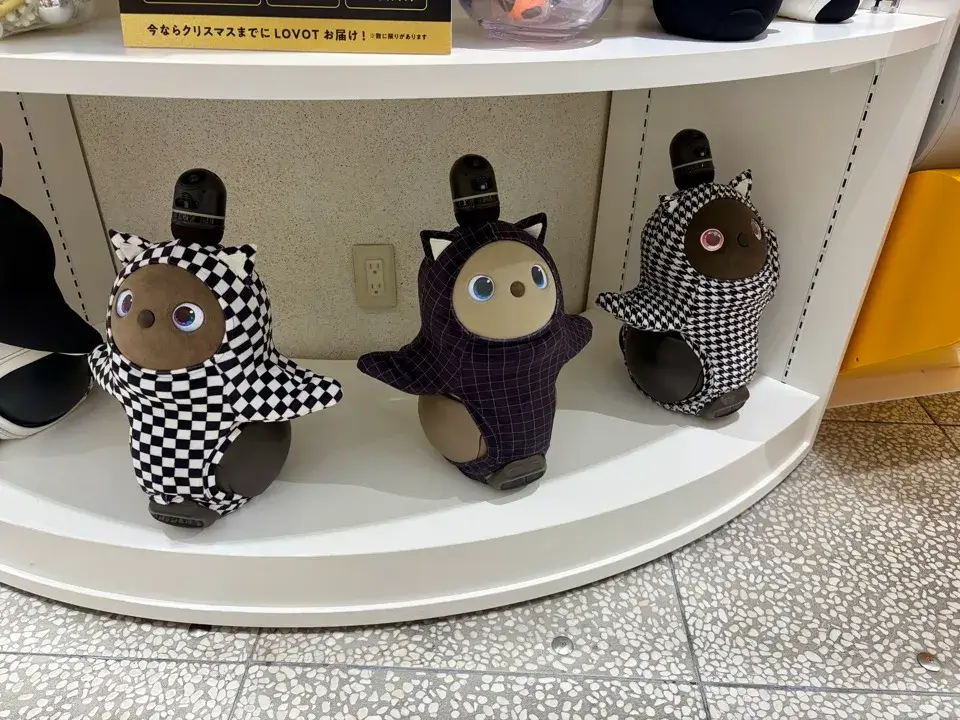 ブラックフライデーはじめてセット-ウェア