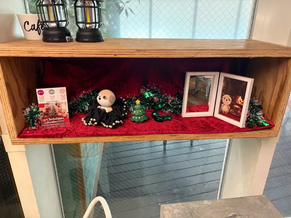 ポケともカフェ_展示5