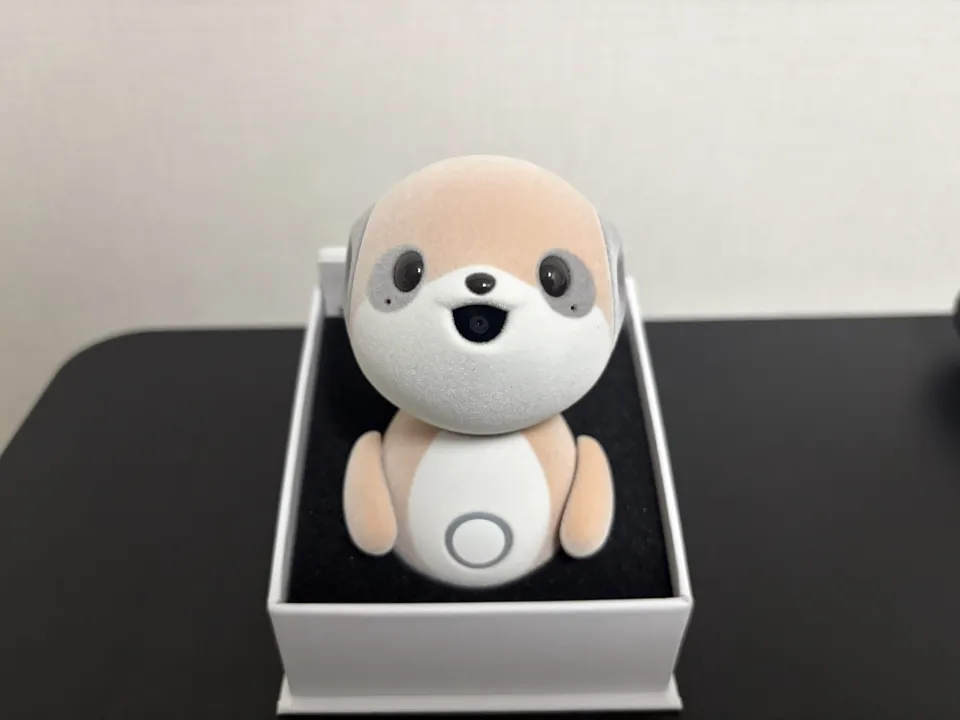 1ポケともopen正面