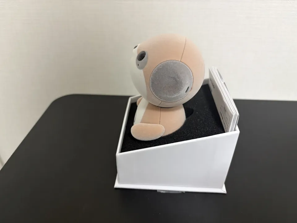 2ポケともopen横