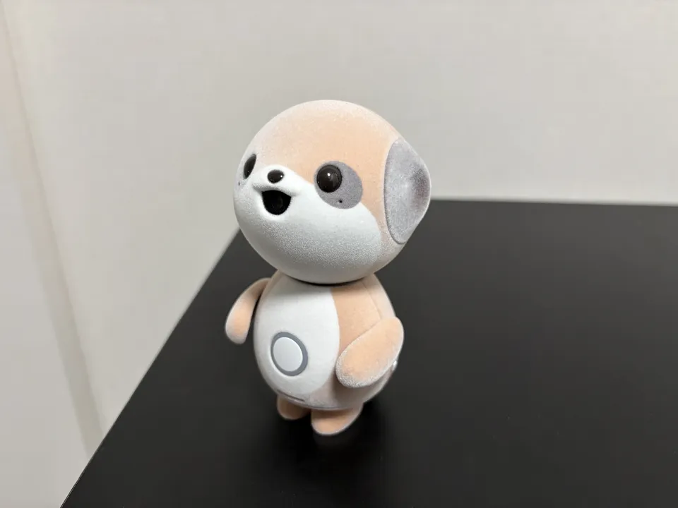 5ポケとも全体