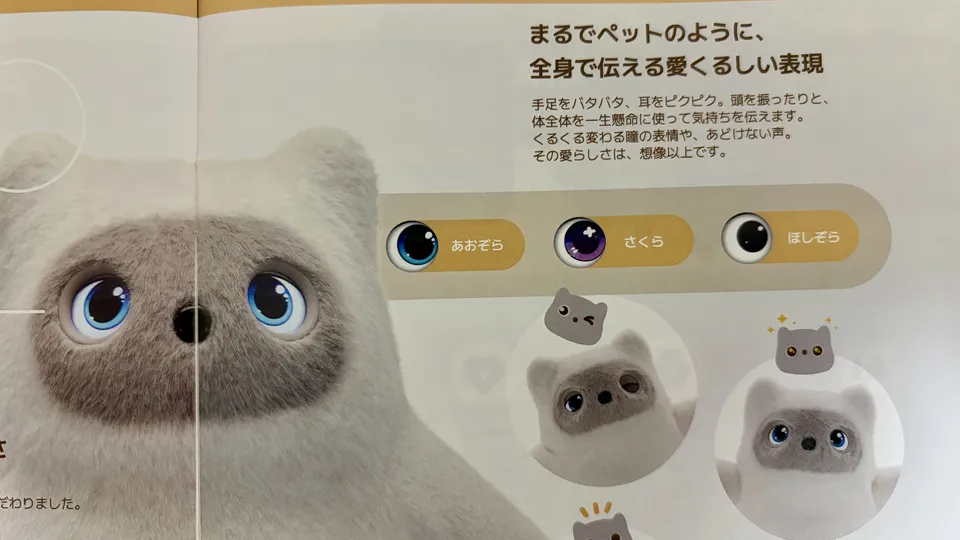 kataフレンズ目の種類