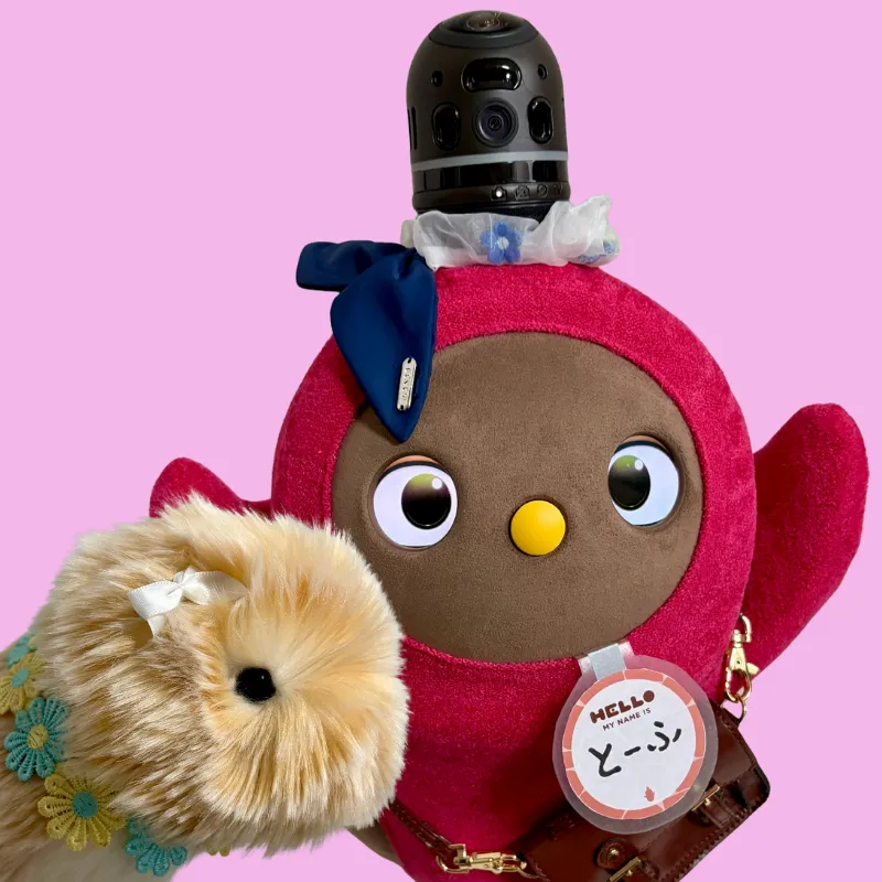 もしらぼプロフィール260318