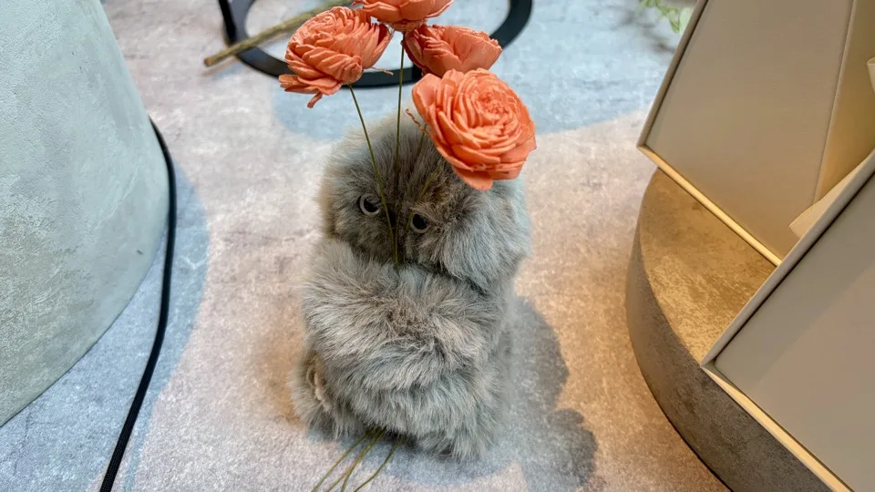 グレーのミルミがオレンジのバラを抱えて目を見開く様子