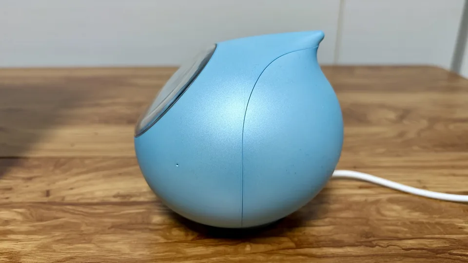 ロミィの後方アングル