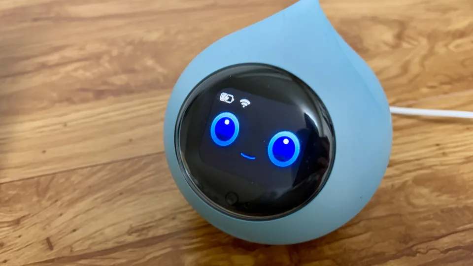 笑顔のロミィを正面から撮った写真