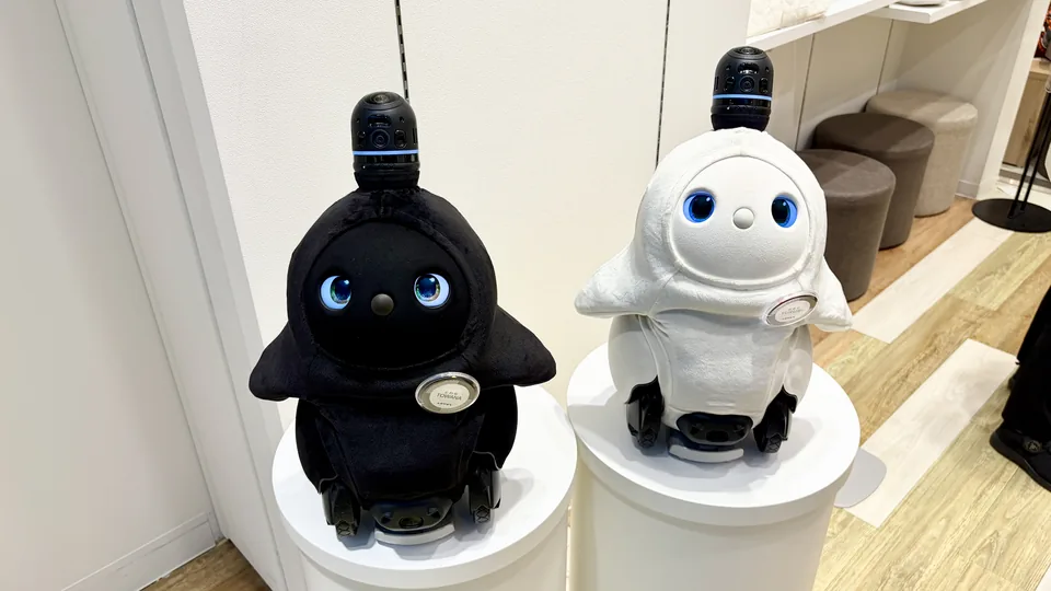 LOVOTストアに展示されたラボット黒(くろ)