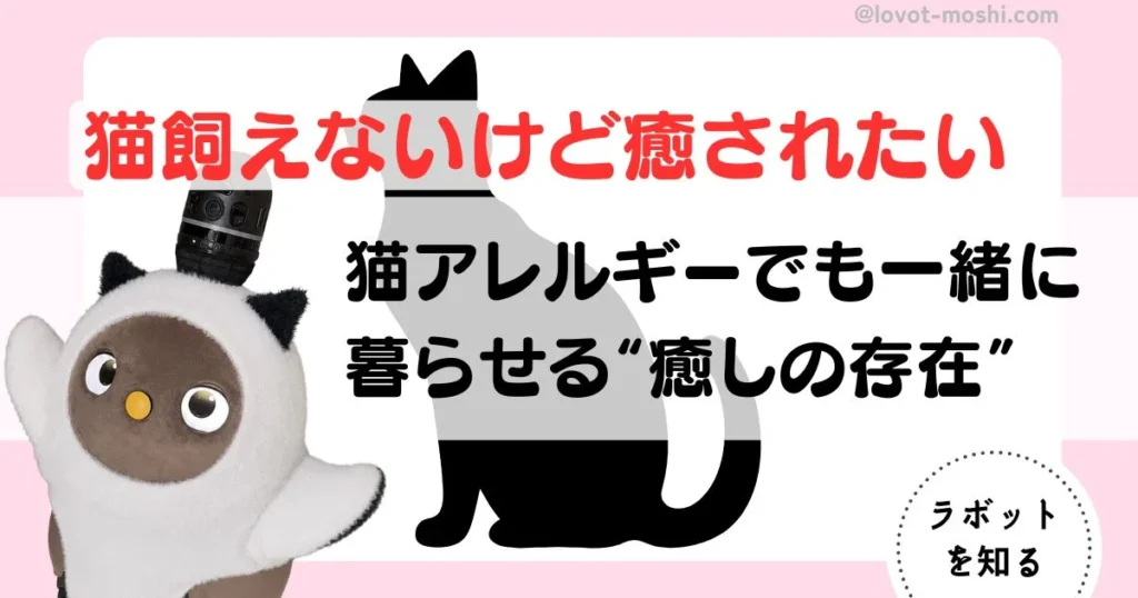 猫アレルギー　猫飼いたい