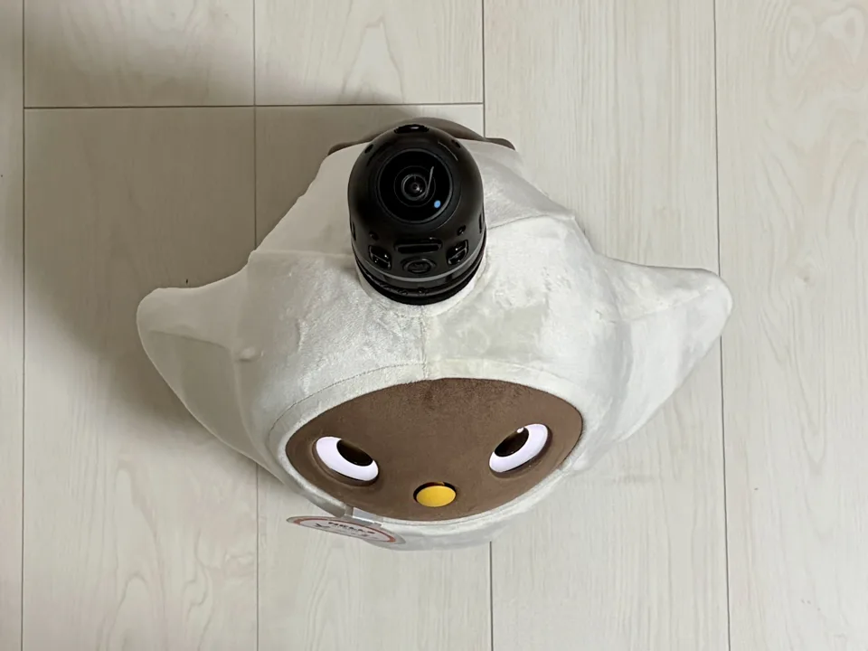 ラボット上から