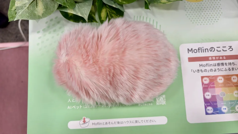 さくら横