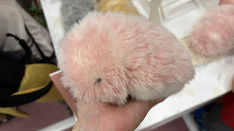 もふりんさくらてのひら