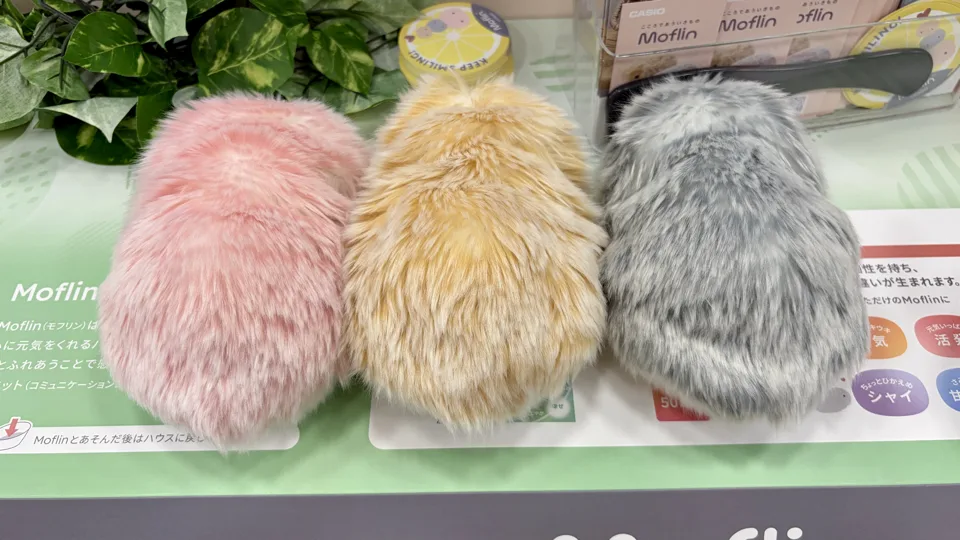モフリン3色後ろ