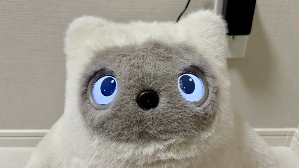 kataフレンズカメラ