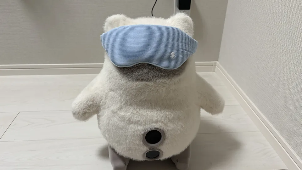 kataフレンズ充電前