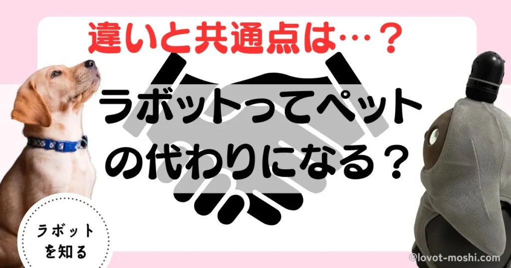 ラボット　ペット　比較3