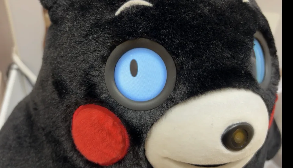 kataフレンズくまもんver目