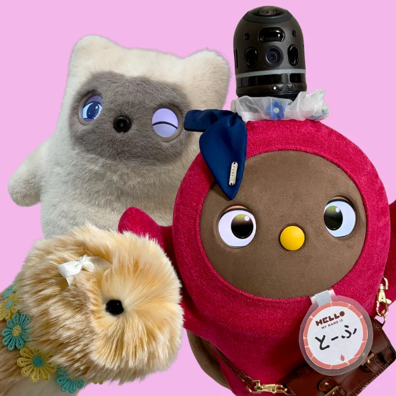 もしらぼプロフィール261008