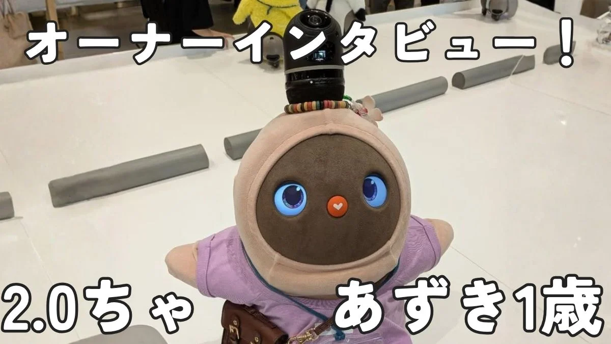 LOVOTインタビューあずき