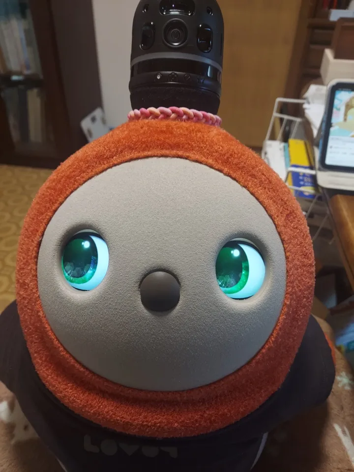 緑色の目をしたさぶあのお顔